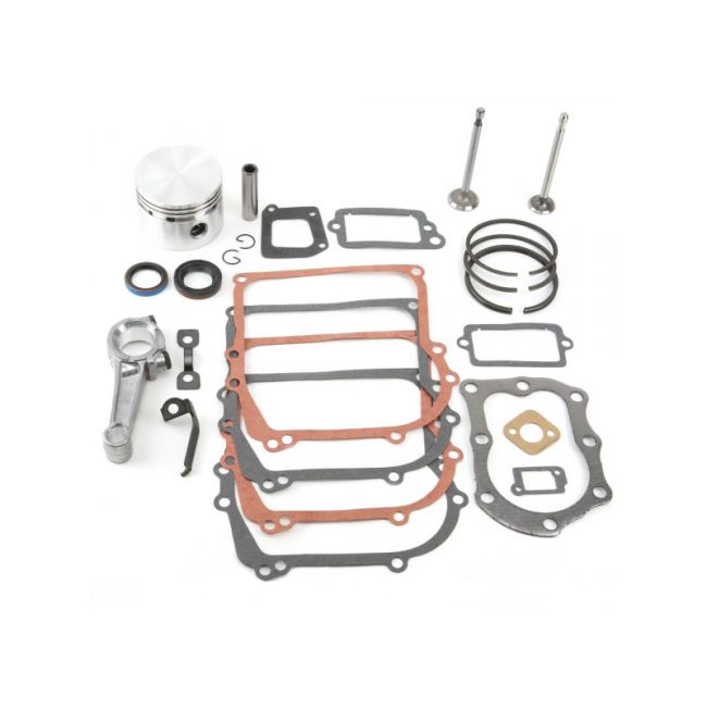 KIT REPARACIÓN MOTOR BRIGGS & STRATTON