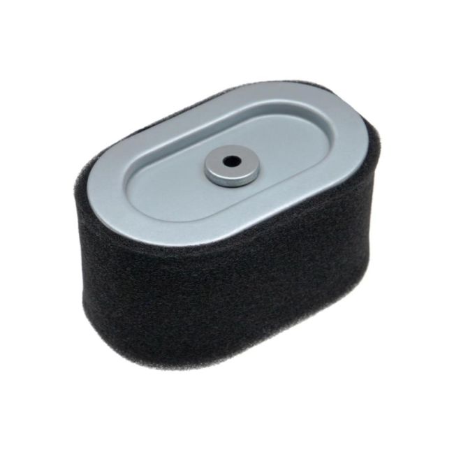 FILTRO AIRE BRIGGS & STRATTON , DIAM 210 X 100 X 27 MM 4239, 797033