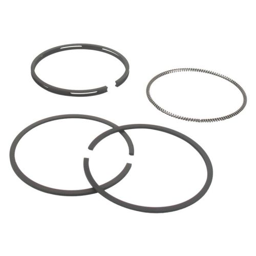 SEGMENTOS BRIGGS & STRATTON