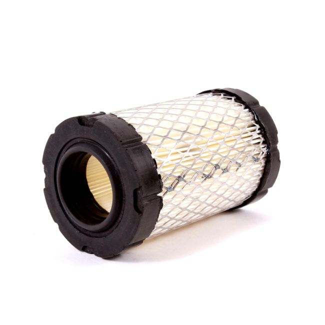 FILTRO AIRE BRIGGS & STRATTON Original Briggs & Stratton