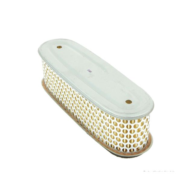 FILTRO AIRE ROBIN W1-450V