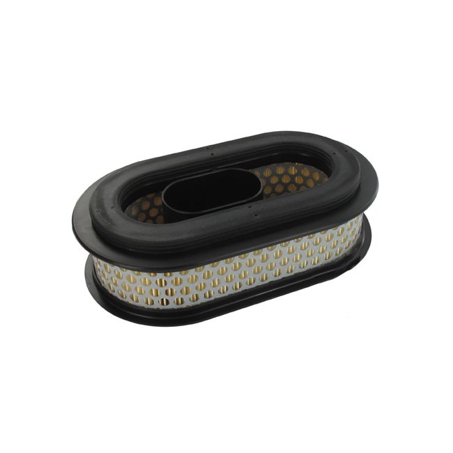 FILTRO AIRE SHINDAIWA EC7500W, EC7600W EC1