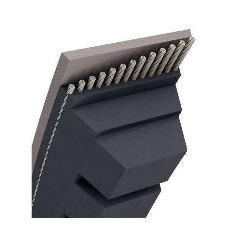 CORREA DENTADA ARIENS Emperor