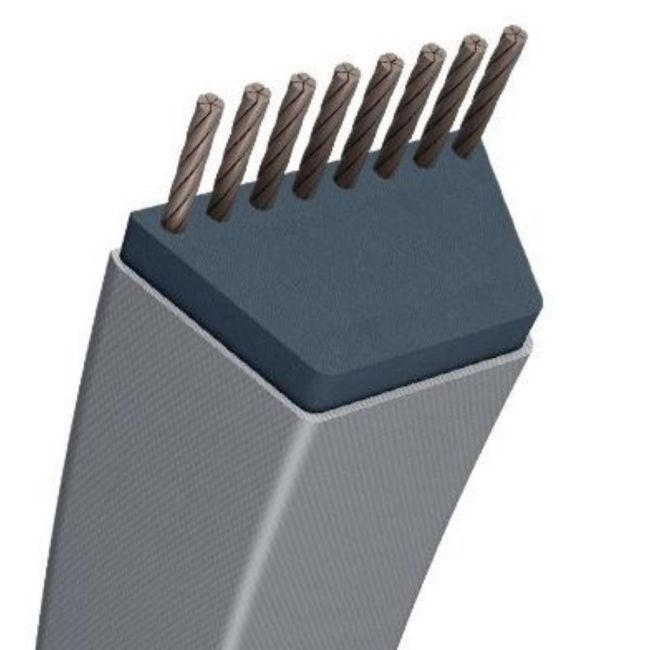 CORREA MURRAY 13455, 14916