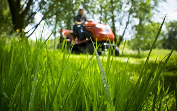 GRAN VARIEDAD DE MAQUINARIA